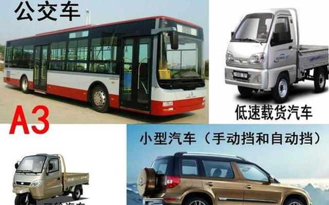 C1可以开什么车型