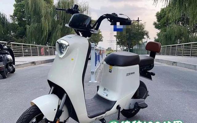 二轮电动车十大名牌排名新国标车;中国两轮电动车十大品牌排行榜