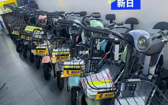 雅迪和新日哪个更耐用