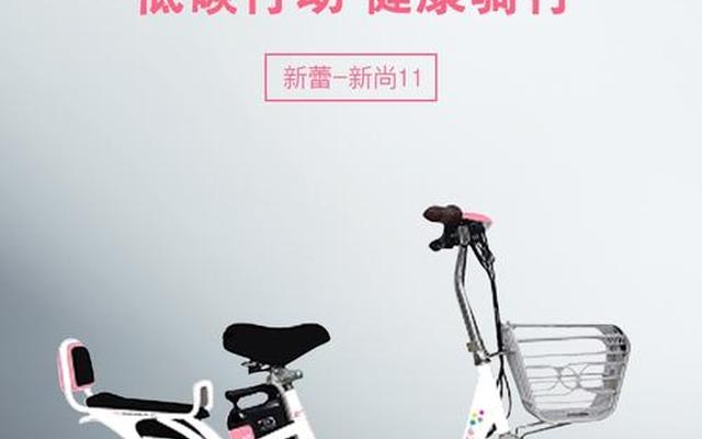 新蕾电动车原装电池是什么牌子