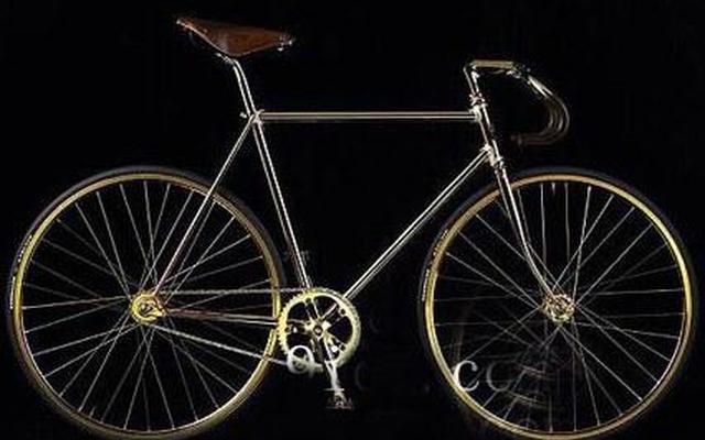 黑蝴蝶自行车最贵多少钱