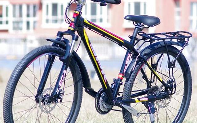 最贵蝴蝶牌自行车价格