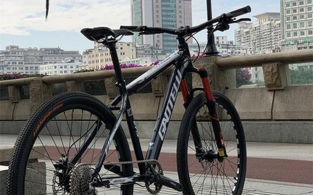 3200万崔克蝴蝶自行车