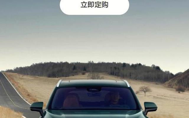 理想one毛病汇总