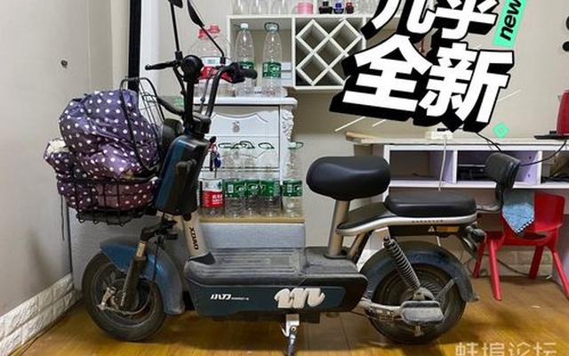 什么牌子电动车跑得远