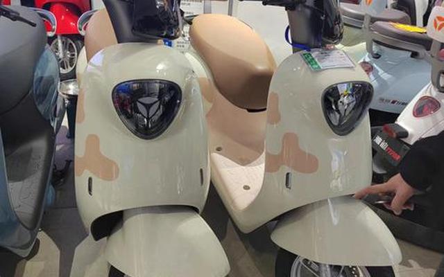 雅迪电机和爱玛电机哪个好