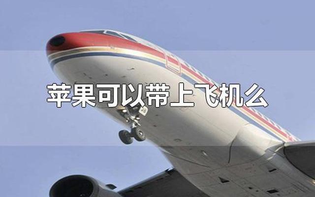 飞机带水果能带多少斤重