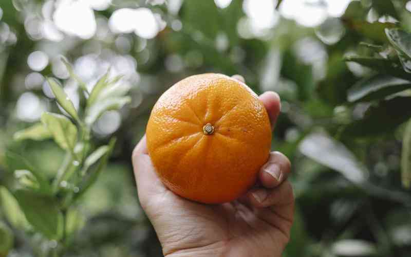 在QQ上如何申请贷款