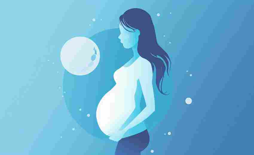 男性职工在领取生育保险期间的工资待遇如何