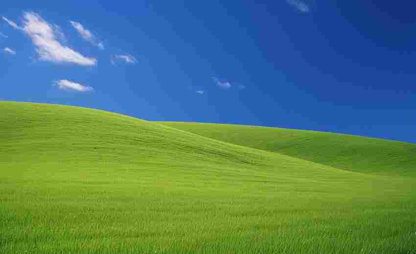 虚拟机中的虚拟网络如何设置