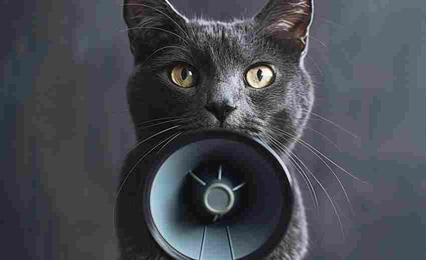 如何申请天猫国际投诉的赔偿