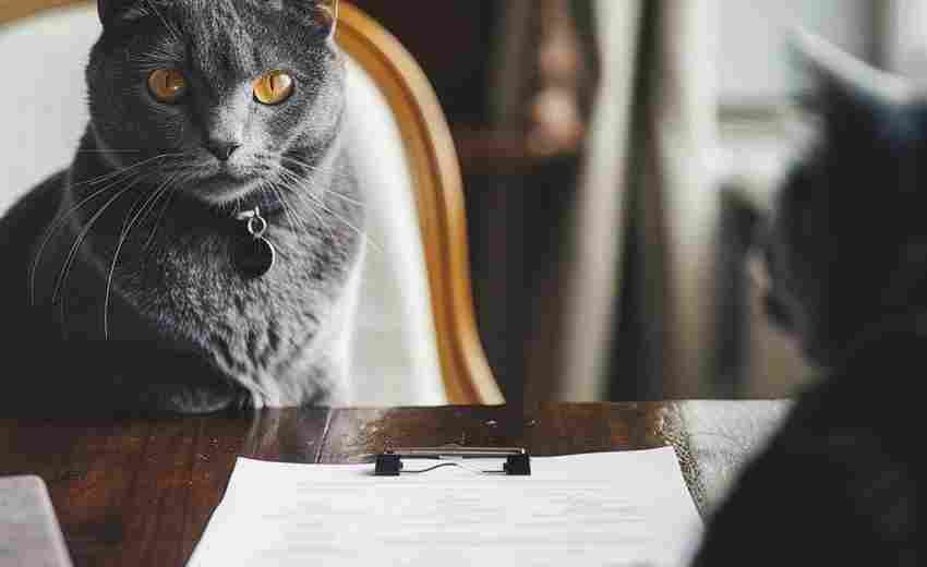 如何确保天猫国际证据上传的文件清晰可读