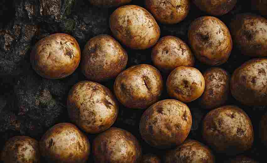 土豆表面有黑点如何清理