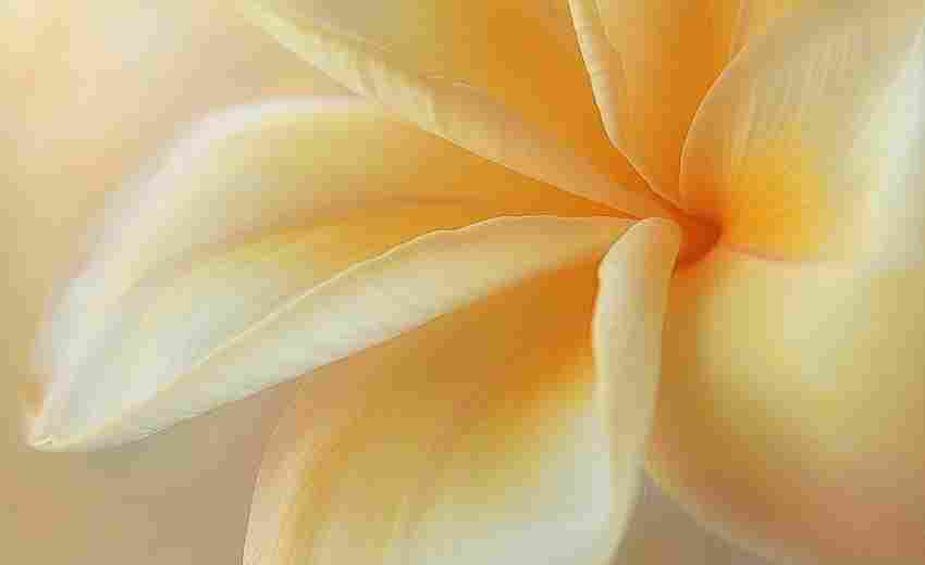 如何在华为G520中开启实时滤镜