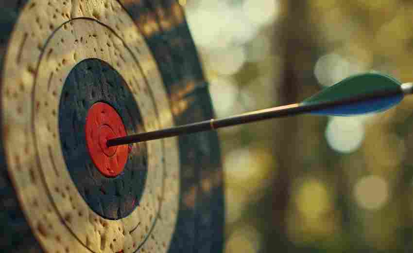 如何在项目目标中融入创新元素