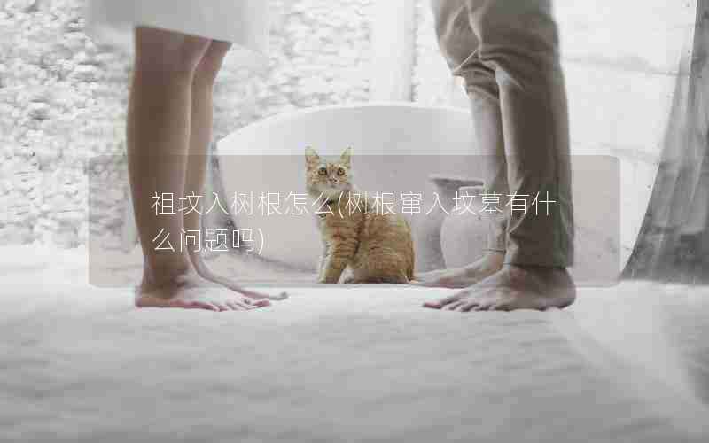 祖坟入树根怎么(树根窜入坟墓有什么问题吗)