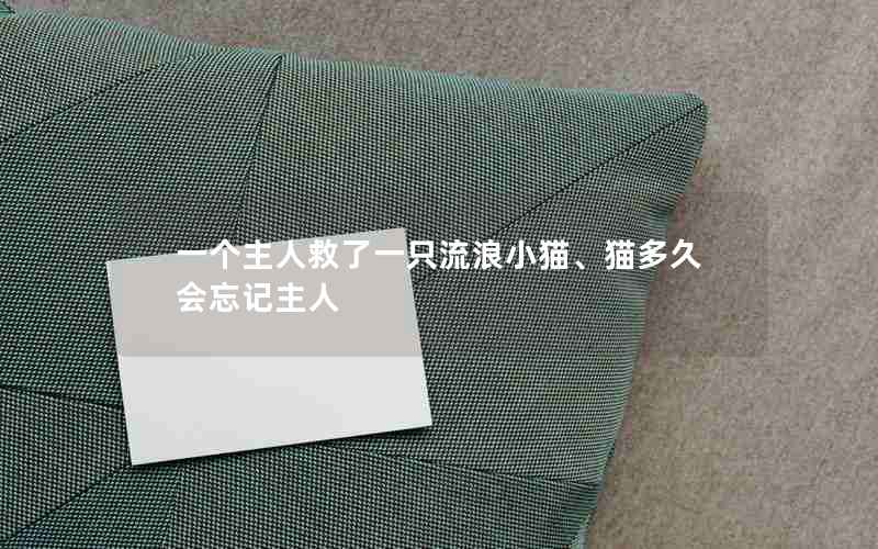 一个主人救了一只流浪小猫、猫多久会忘记主人