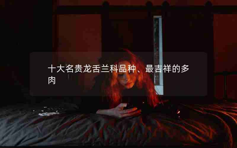 十大名贵龙舌兰科品种、最吉祥的多肉