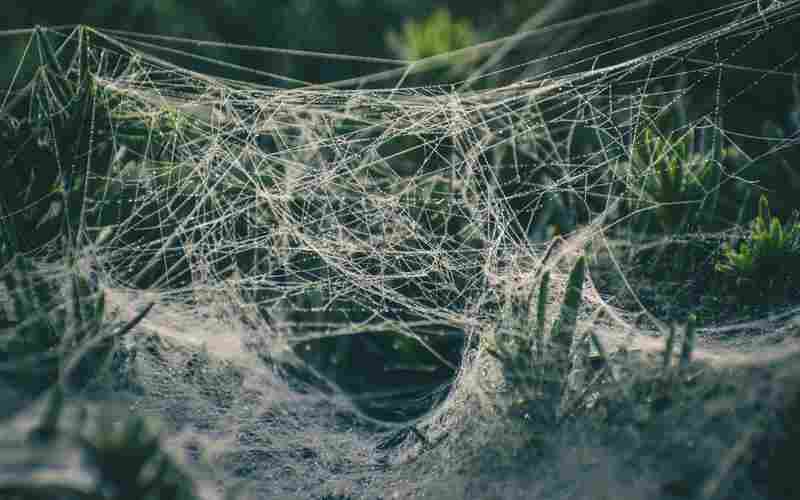 山东华宇学院的校友网络活跃吗