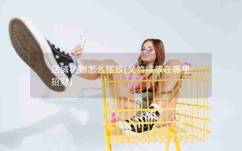 店铺植物怎么摆放(文竹摆放在哪里招财)