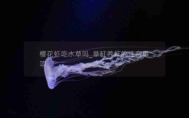 樱花虾吃水草吗_草缸养虾的注意事项