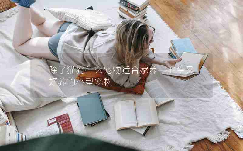 除了猫狗什么宠物适合家养—卫生又好养的小型宠物