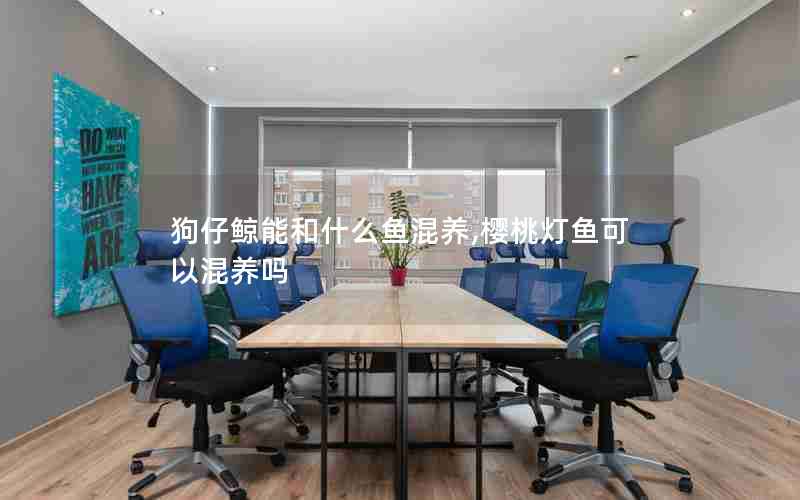 狗仔鲸能和什么鱼混养,樱桃灯鱼可以混养吗