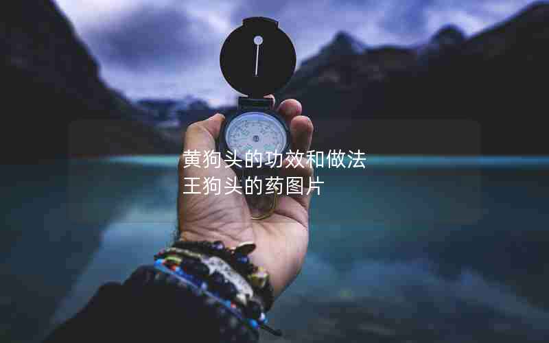 黄狗头的功效和做法 王狗头的药图片