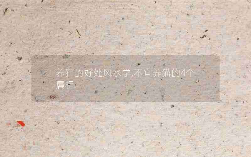 养猫的好处风水学,不宜养猫的4个属相