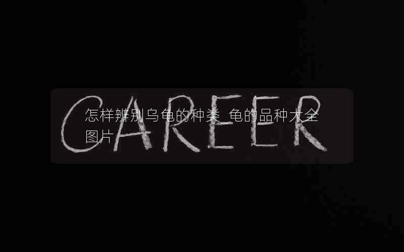 怎样辨别乌龟的种类_龟的品种大全图片