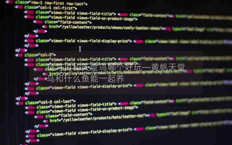 斑马贝和天堂鸟哪个好玩—黄帆天堂鸟和什么鱼能一起养