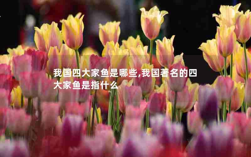 我国四大家鱼是哪些,我国著名的四大家鱼是指什么