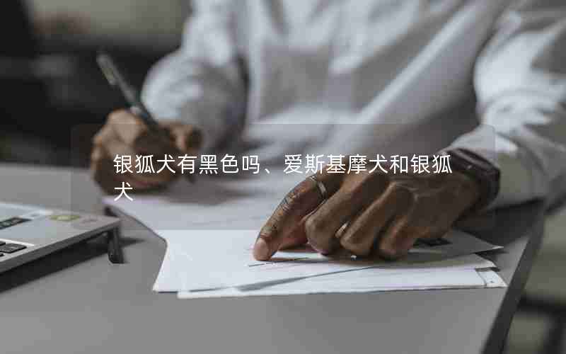 银狐犬有黑色吗、爱斯基摩犬和银狐犬