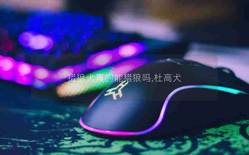 猎狼犬真的能猎狼吗,杜高犬