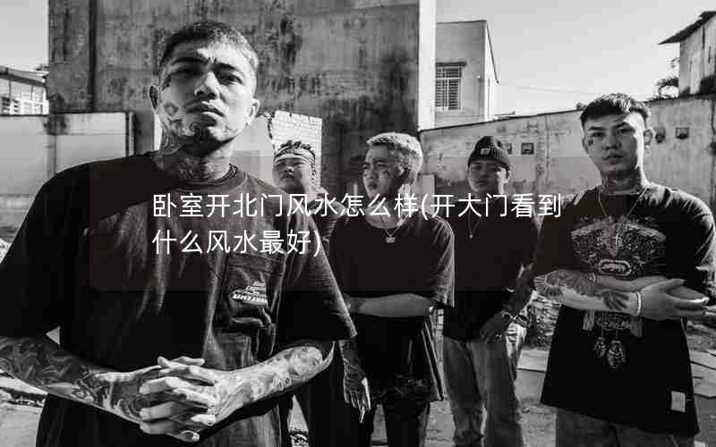 卧室开北门风水怎么样(开大门看到什么风水最好)