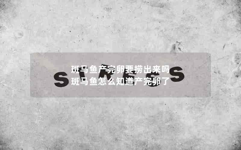 斑马鱼产完卵要捞出来吗 斑马鱼怎么知道产完卵了
