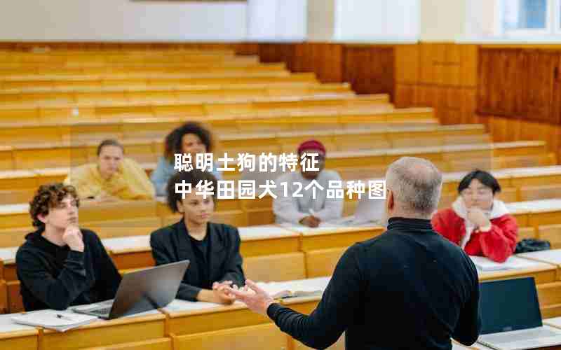 聪明土狗的特征 中华田园犬12个品种图