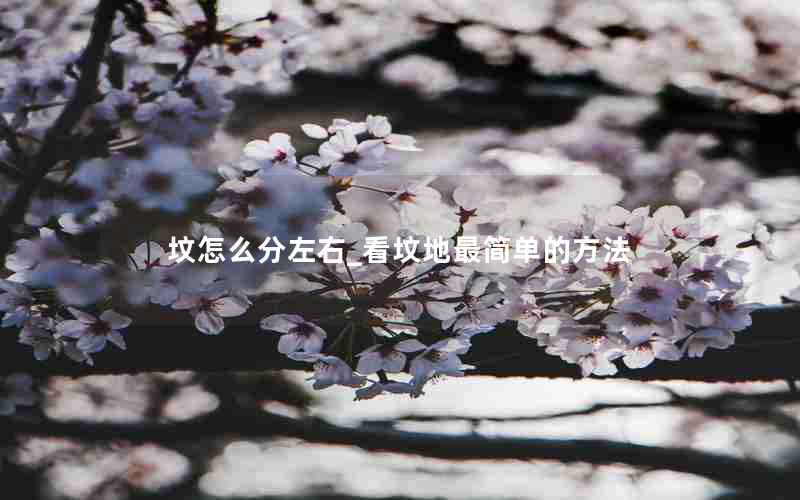 坟怎么分左右_看坟地最简单的方法