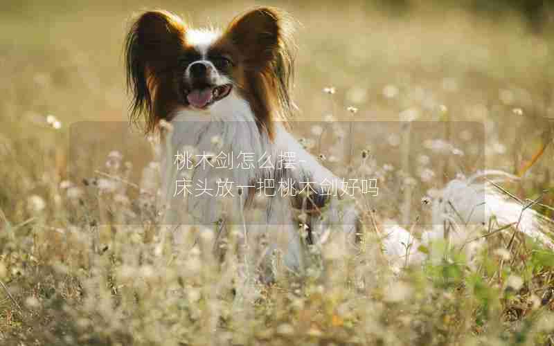 桃木剑怎么摆-床头放一把桃木剑好吗