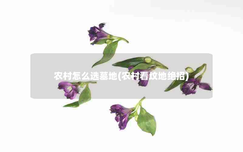 农村怎么选墓地(农村看坟地绝招)