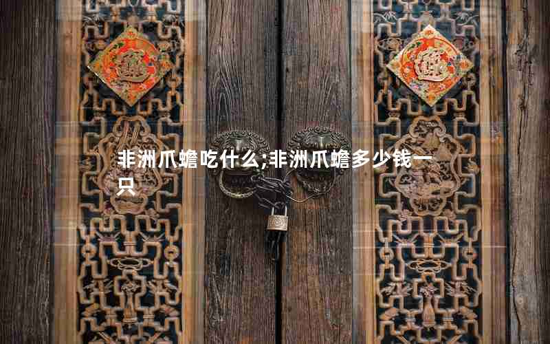 非洲爪蟾吃什么;非洲爪蟾多少钱一只