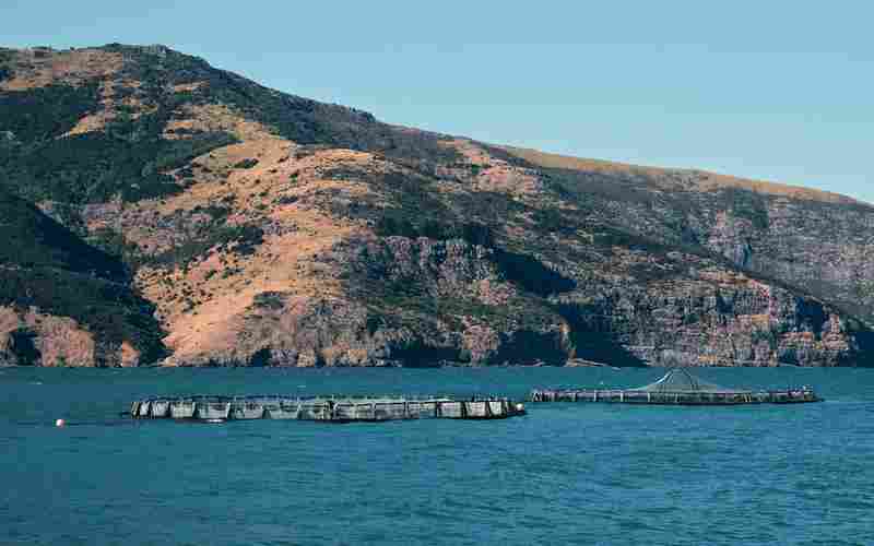 皮肤松弛与荷尔蒙变化有联系吗