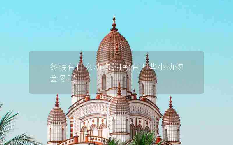 冬眠有什么动物冬眠;有哪些小动物会冬眠