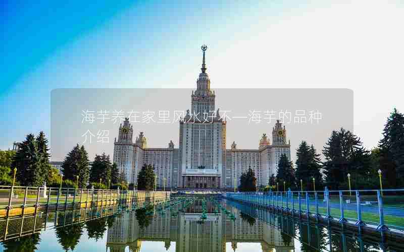 海芋养在家里风水好不—海芋的品种介绍
