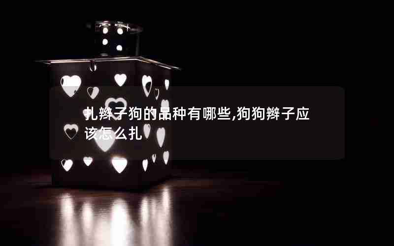 扎辫子狗的品种有哪些,狗狗辫子应该怎么扎