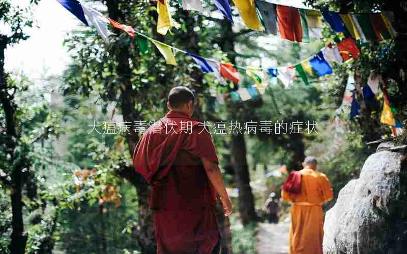 犬瘟病毒潜伏期 犬瘟热病毒的症状