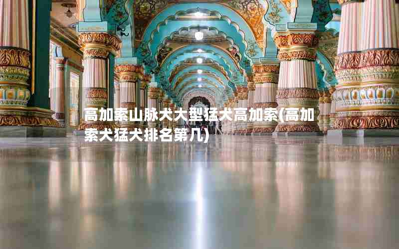 高加索山脉犬大型猛犬高加索(高加索犬猛犬排名第几)