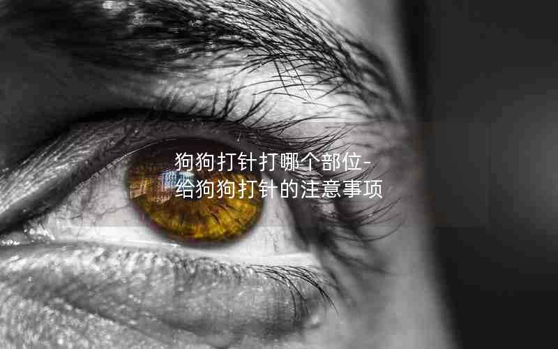 狗狗打针打哪个部位-给狗狗打针的注意事项