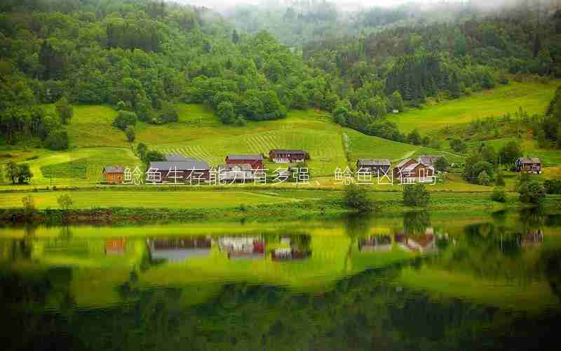 鲶鱼生存能力有多强、鲶鱼凶猛吗