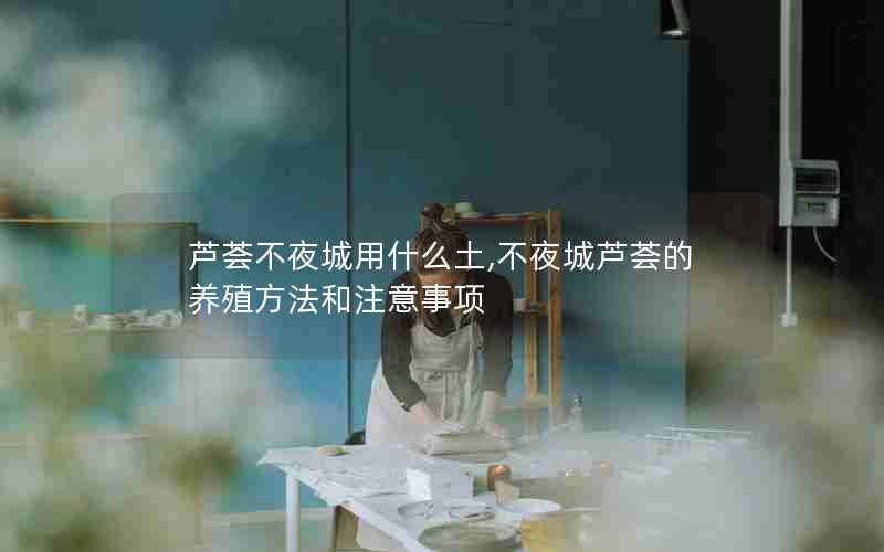 芦荟不夜城用什么土,不夜城芦荟的养殖方法和注意事项